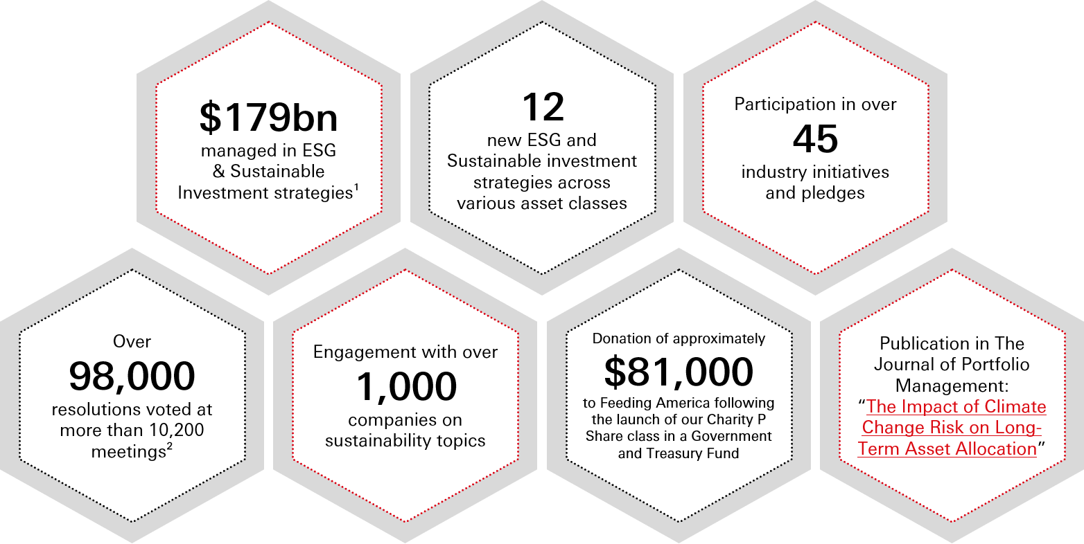 Responsible Investment Review