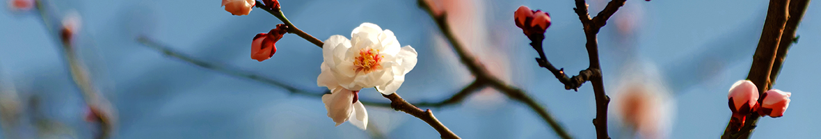 We support B2B Fintechs that promote Environmental Sustainability