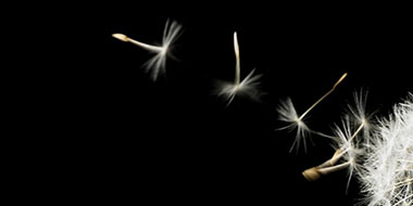 PwC Limited Assurance Report – 2024