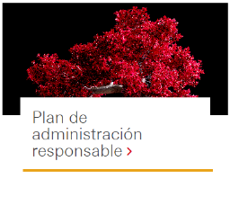 Plan de administración